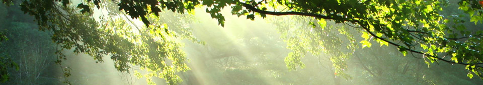 banner2
